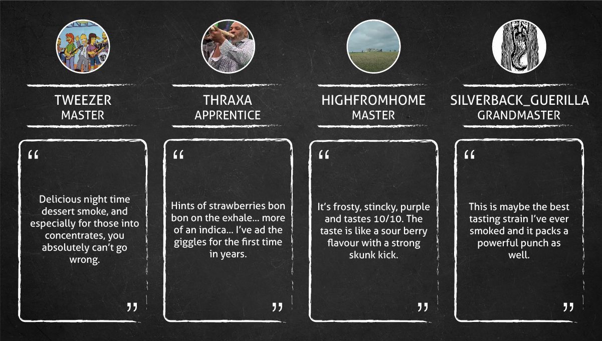 Strawberry Pie Auto Cannabis Strain Week-by-Week Guide: Smoke report Strawberry Pie Auto Cannabis Strain Week-by-Week Guide: Smoke report