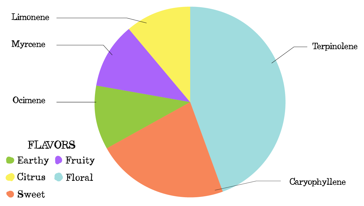 Bruce banner auto cannabis strain: yield and smoke report Bruce banner auto cannabis strain: yield and smoke report