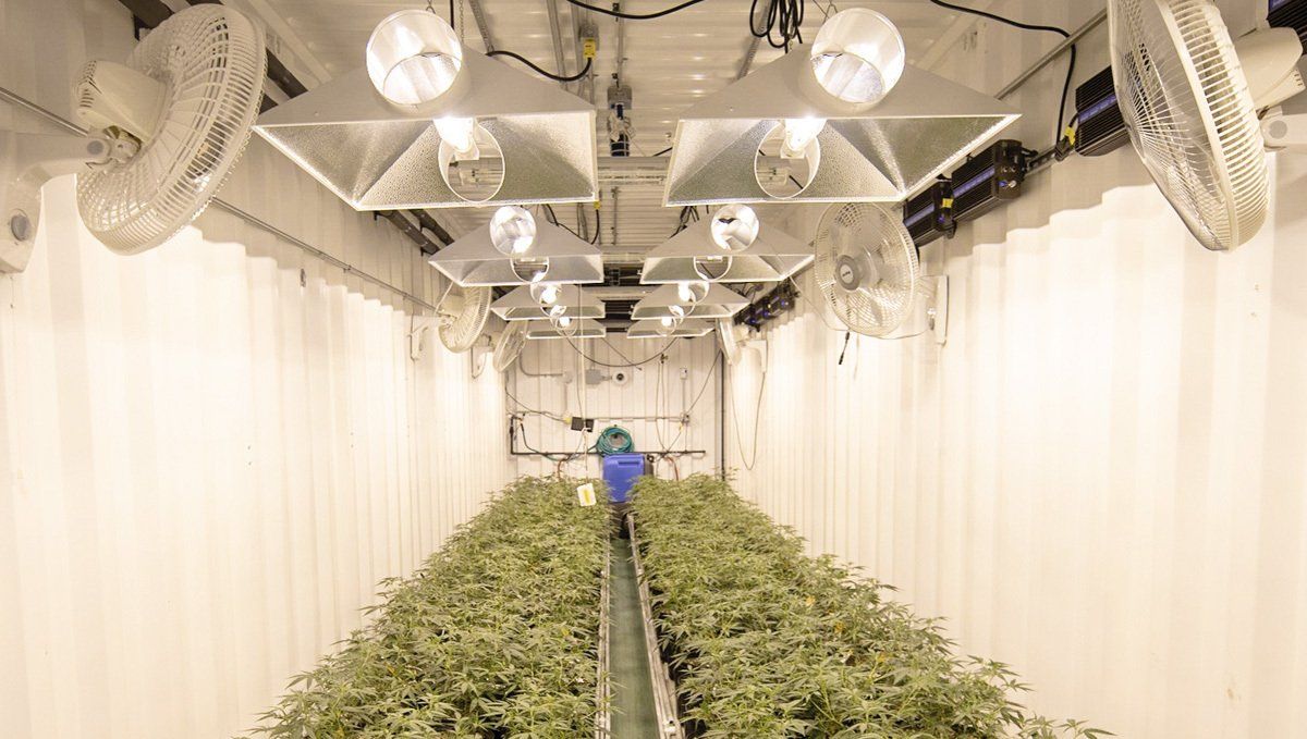 Ventiladores oscilantes Ventiladores oscilantes