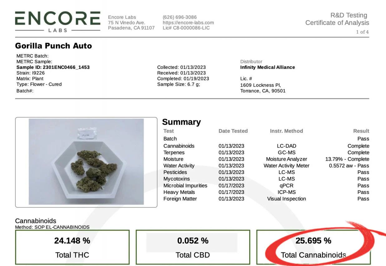 Gorilla Punch Auto cannabis strain: lab test certificate