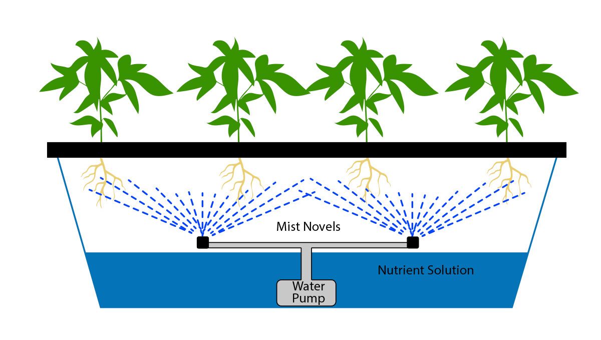 Wie man autoflowering Cannabispflanzen in Hydroponik-Systemen anbaut: Aeroponik Wie man autoflowering Cannabispflanzen in Hydroponik-Systemen anbaut: Aeroponik
