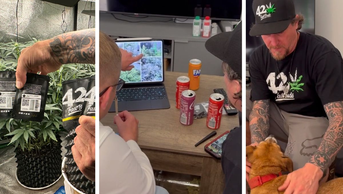 Grow Tour | Fast Buds visita el cultivo de Patrick en Hamburgo