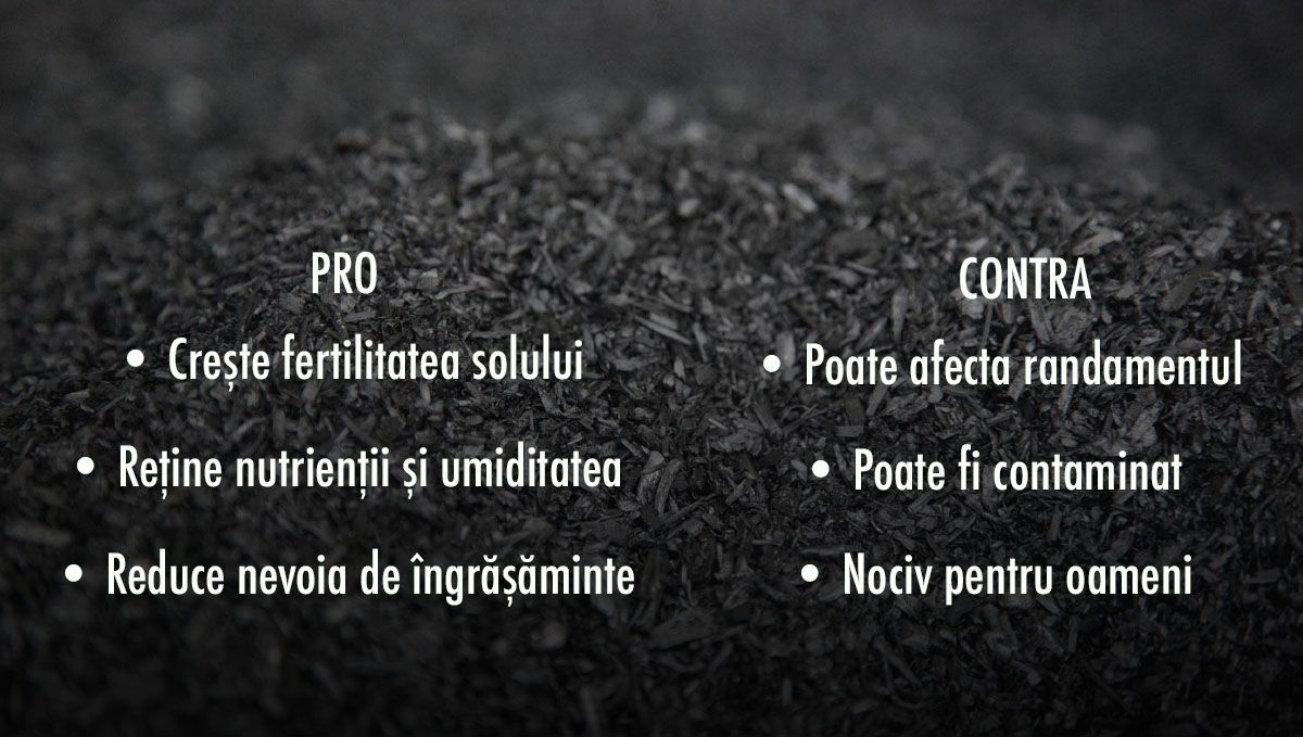 Pro și contra adăugării biocărbunelui în solul tău