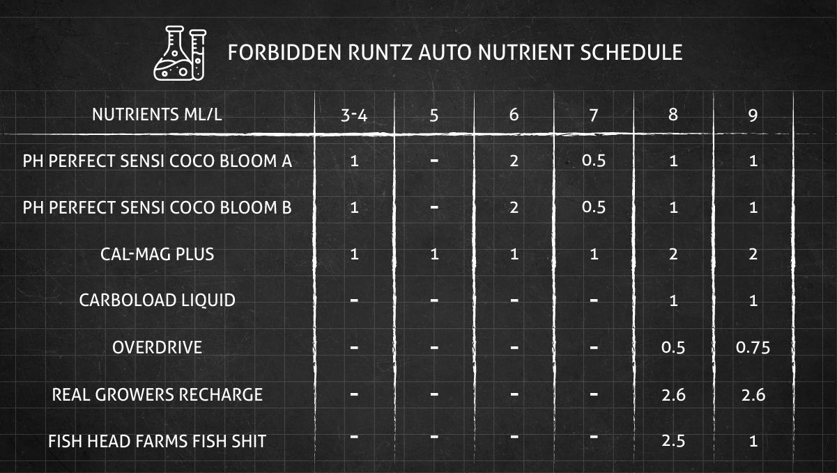 Forbidden Runtz Auto Cannabis Strain Week-by-Week Guide: A complete feeding schedule for weeks 3 through 9 Forbidden Runtz Auto Cannabis Strain Week-by-Week Guide: A complete feeding schedule for weeks 3 through 9