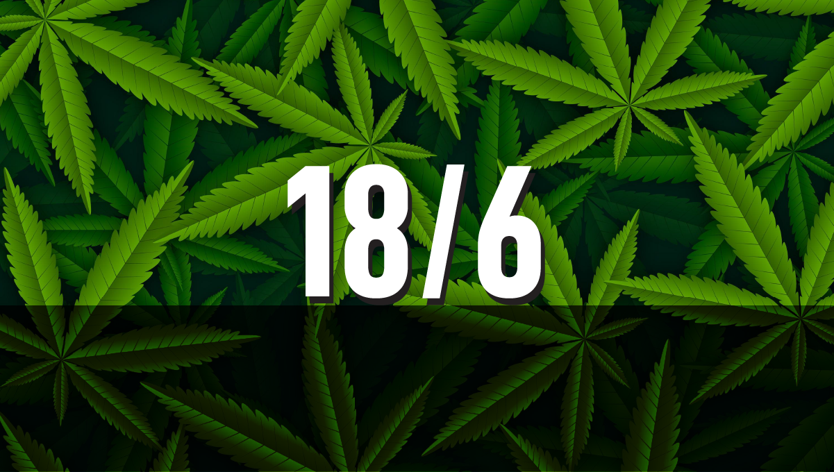 Ciclul de lumină 18/6 pentru planta de canabis