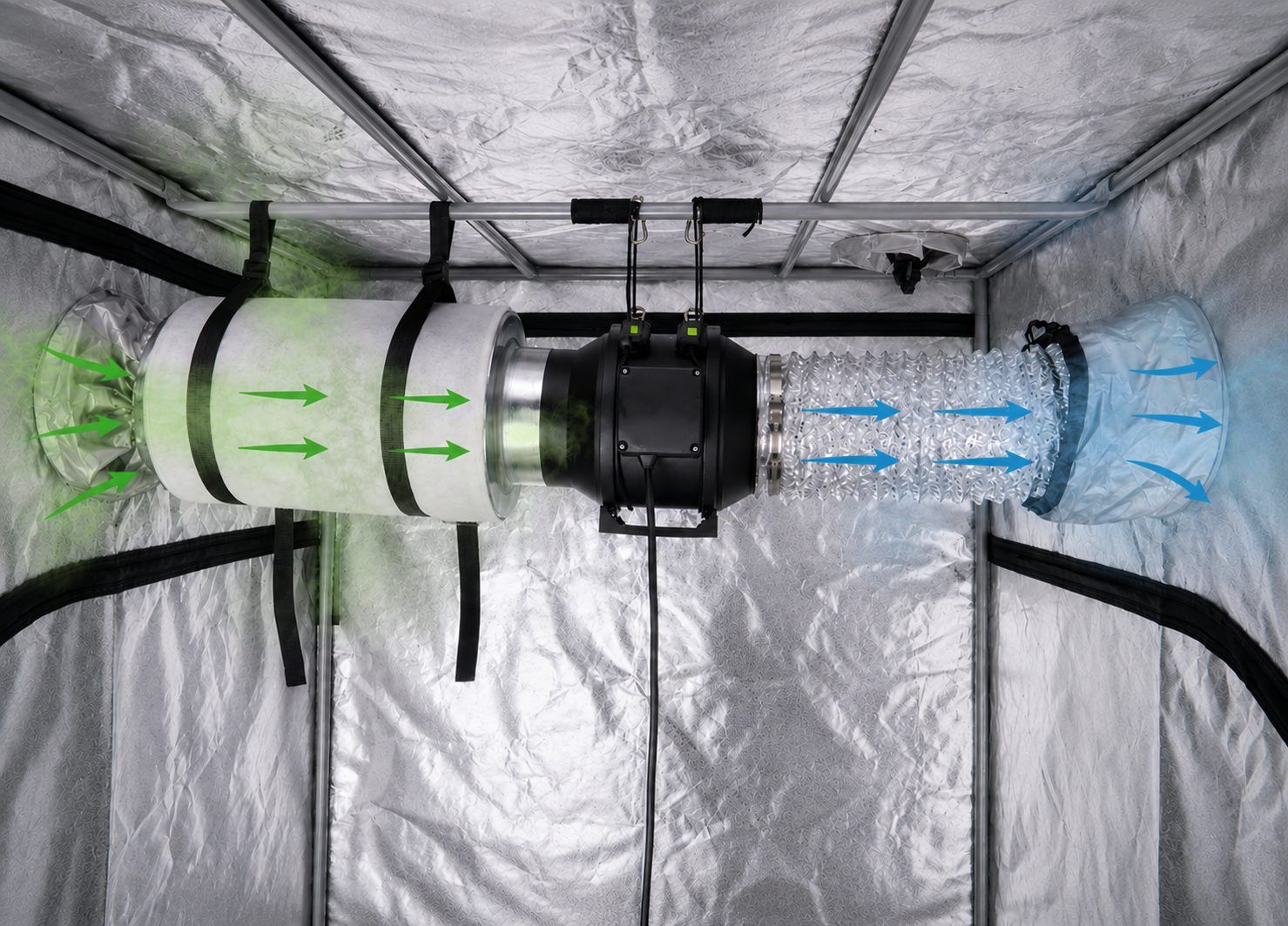 Ogleni filter in izpušni ventilator sta med cvetenjem nujna. Ogleni filter in izpušni ventilator sta med cvetenjem nujna.