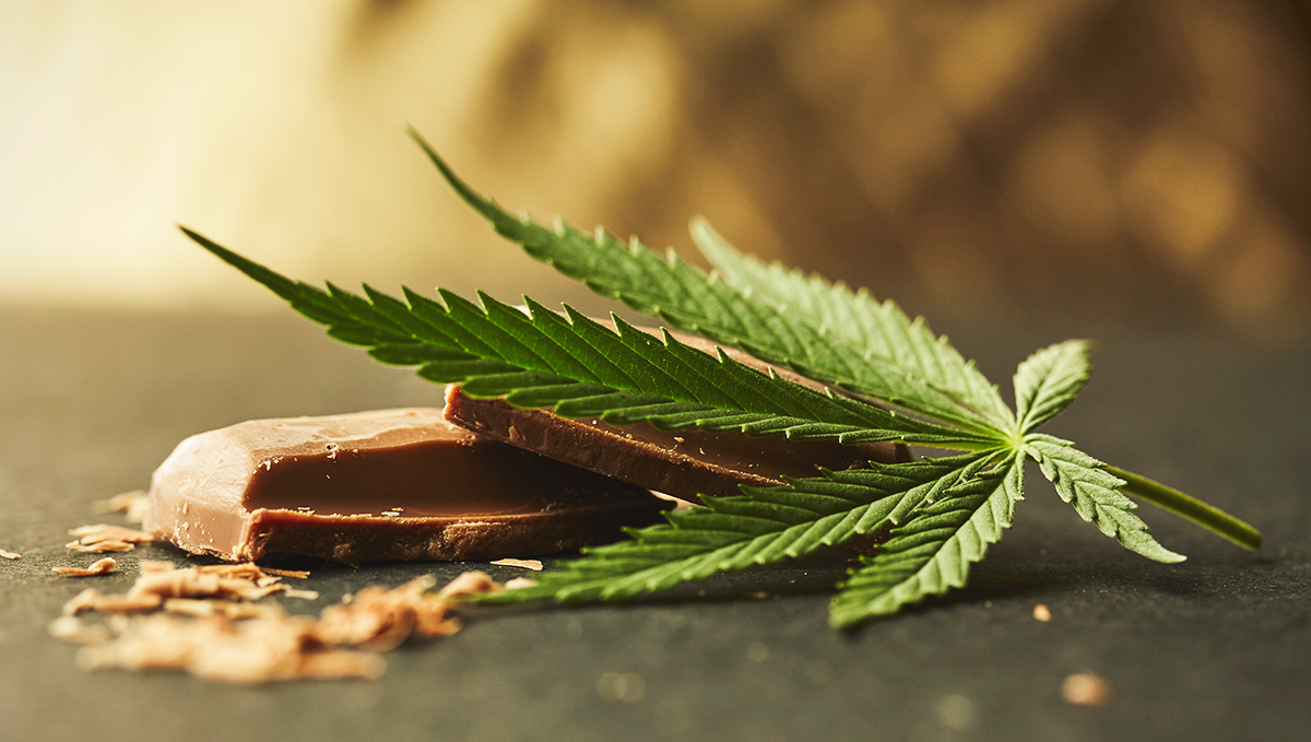 Como hacer brownies de marihuana: conclusion Como hacer brownies de marihuana: conclusion