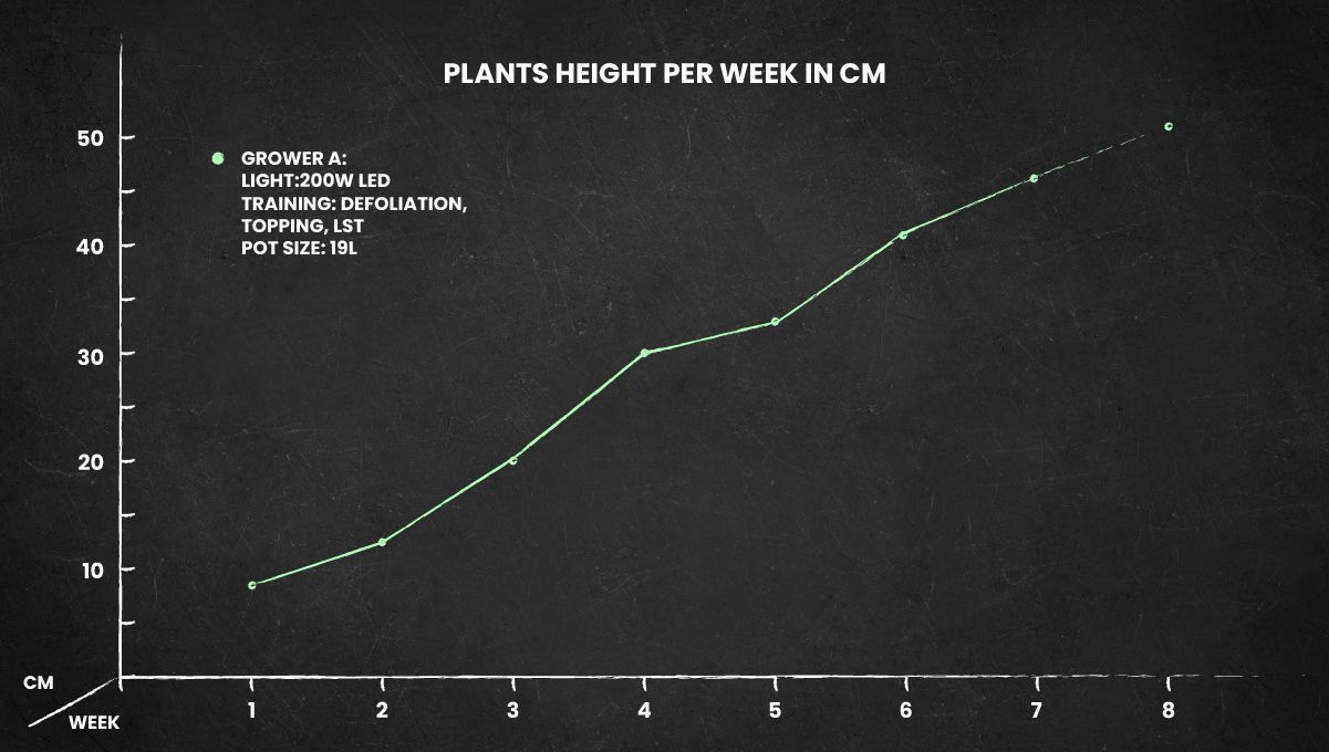 Blue Dream Auto cannabis strain: height chart Blue Dream Auto cannabis strain: height chart
