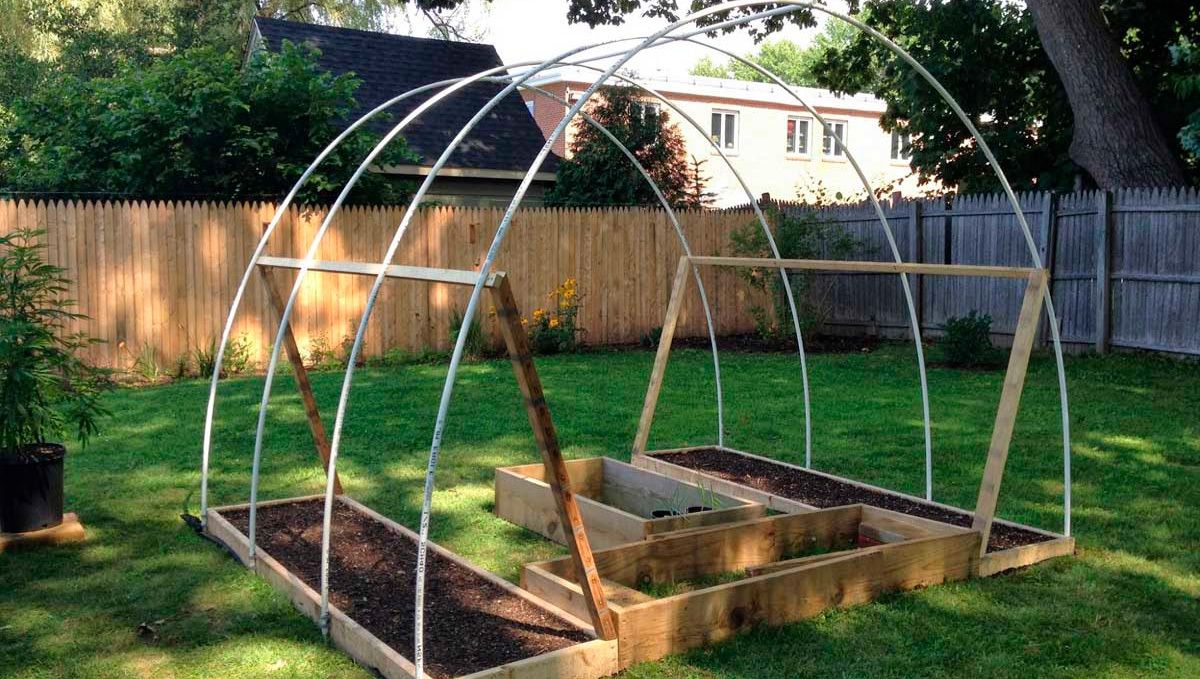 Can i grow autoflowering cannabis outdoors: plan ahead Can i grow autoflowering cannabis outdoors: plan ahead