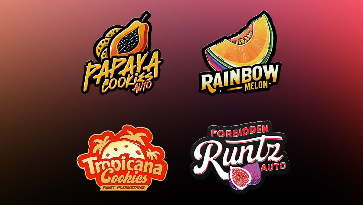 Some examples of modern exotic strains. Some examples of modern exotic strains.