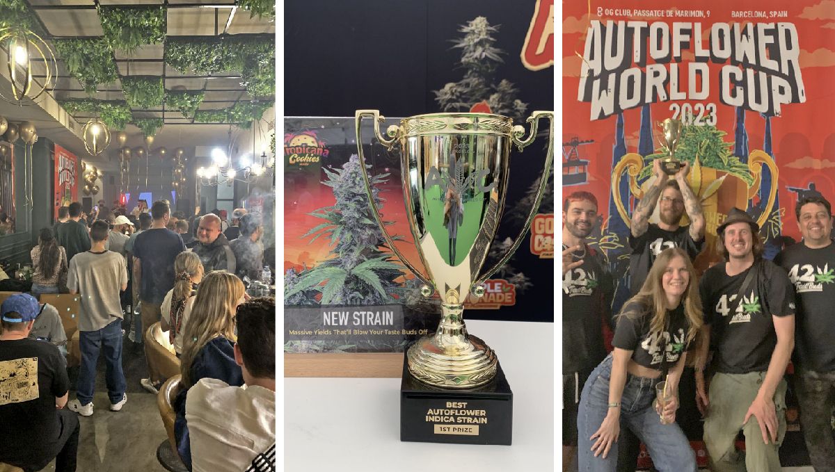 nuestro equipo ganador en la AWC 2023