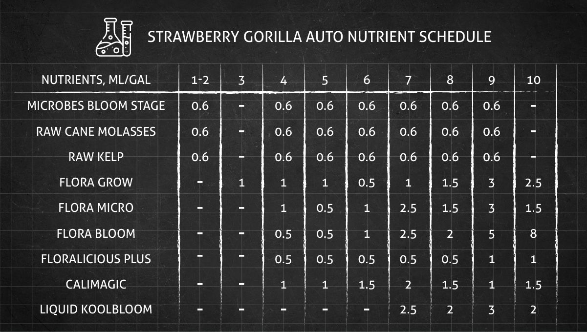 Strawberry Gorilla Auto Cannabissorte: Nährstoffplan Strawberry Gorilla Auto Cannabissorte: Nährstoffplan