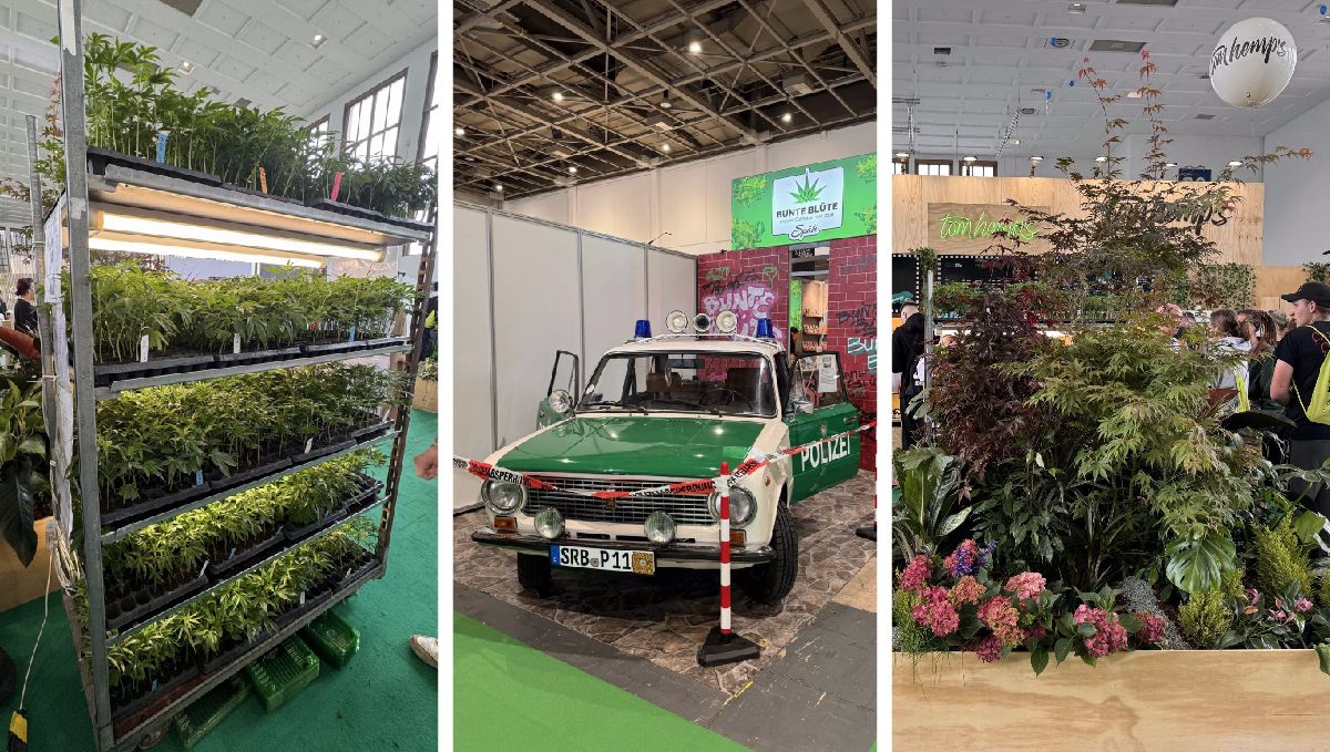 Mary Jane 2024: Die erste legale Cannabis-Expo in Europa