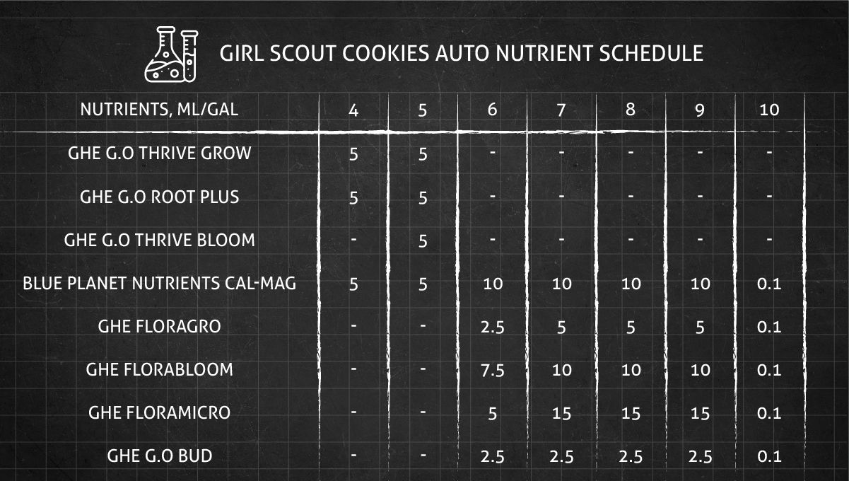 Girl Scout Cookies Auto cannabis strain: nutrient schedule from late veg to late flower Girl Scout Cookies Auto cannabis strain: nutrient schedule from late veg to late flower
