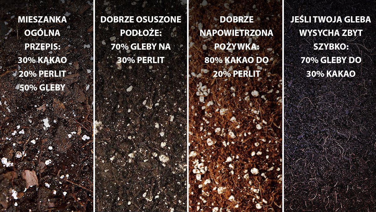 9 Mistakes to Avoid: best medium