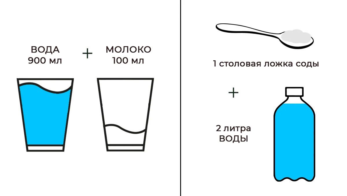 Most Common Pests In Cannabis: Mix to eliminate powdery mildew