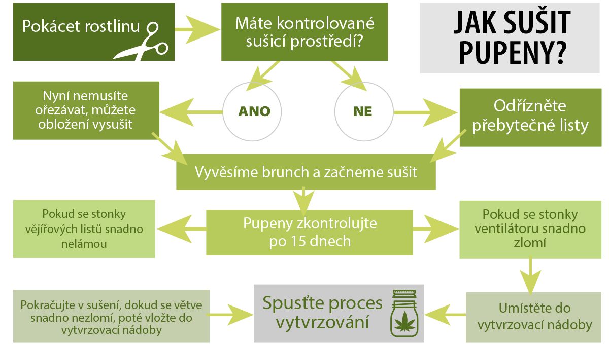 Jak sušit konopí: co je třeba zvážit Jak sušit konopí: co je třeba zvážit