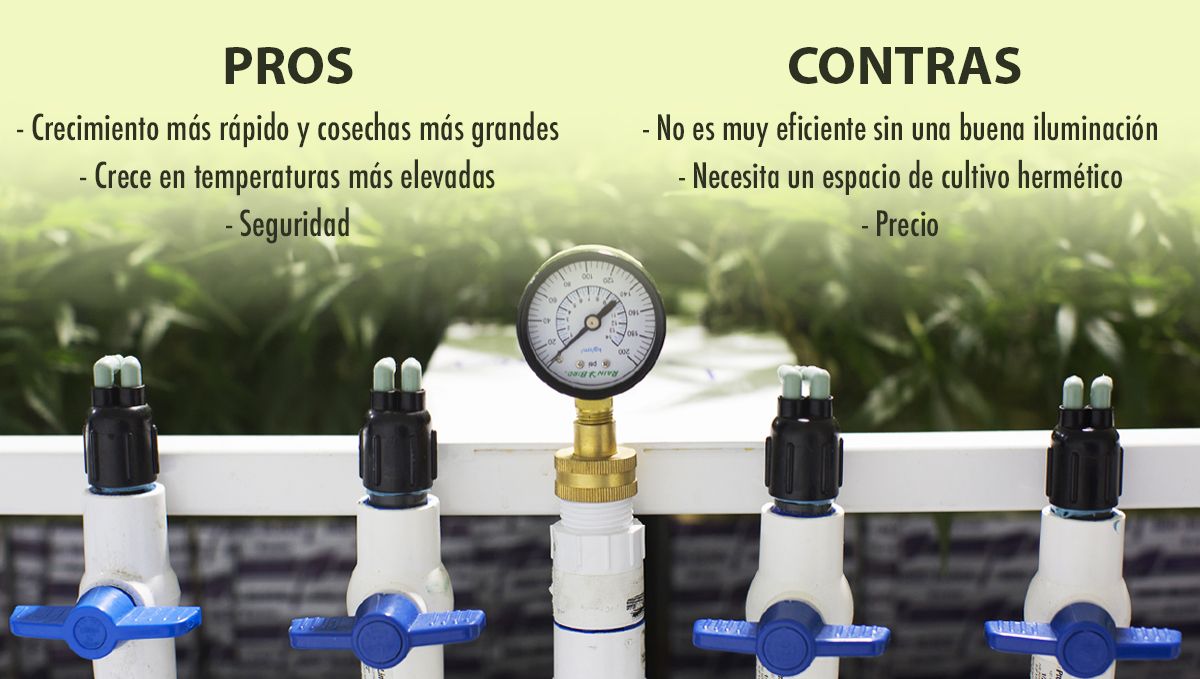 Cómo aumentar los rendimientos del cannabis con CO2: ventajas e inconvenientes