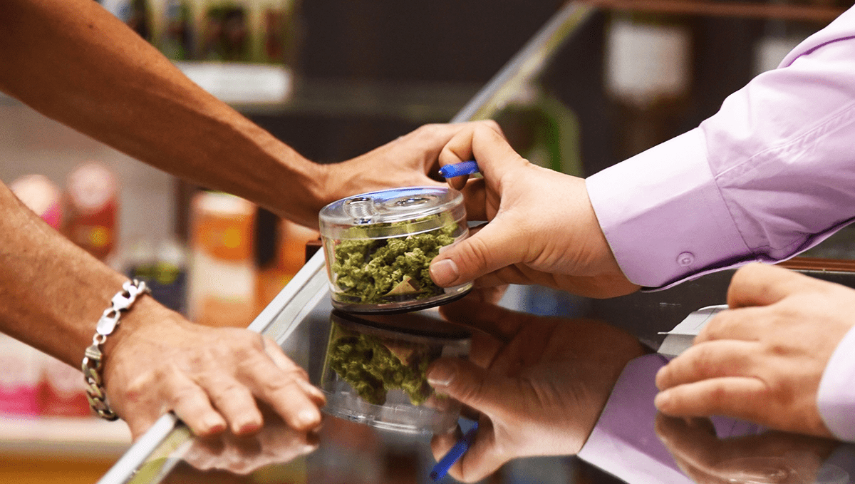 Weed in germany: sale Weed in germany: sale