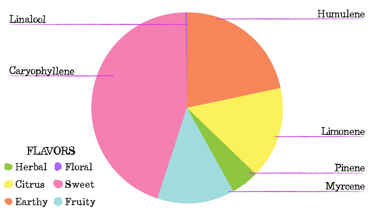 Skunk Auto Cannabis-Sorte Wochen-für-Wochen-Anleitung: Terpenprofil Skunk Auto Cannabis-Sorte Wochen-für-Wochen-Anleitung: Terpenprofil