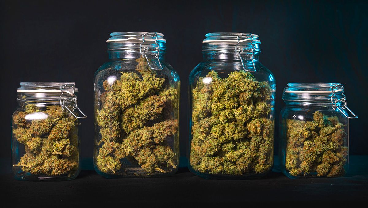 How to dry cannabis buds: jars How to dry cannabis buds: jars