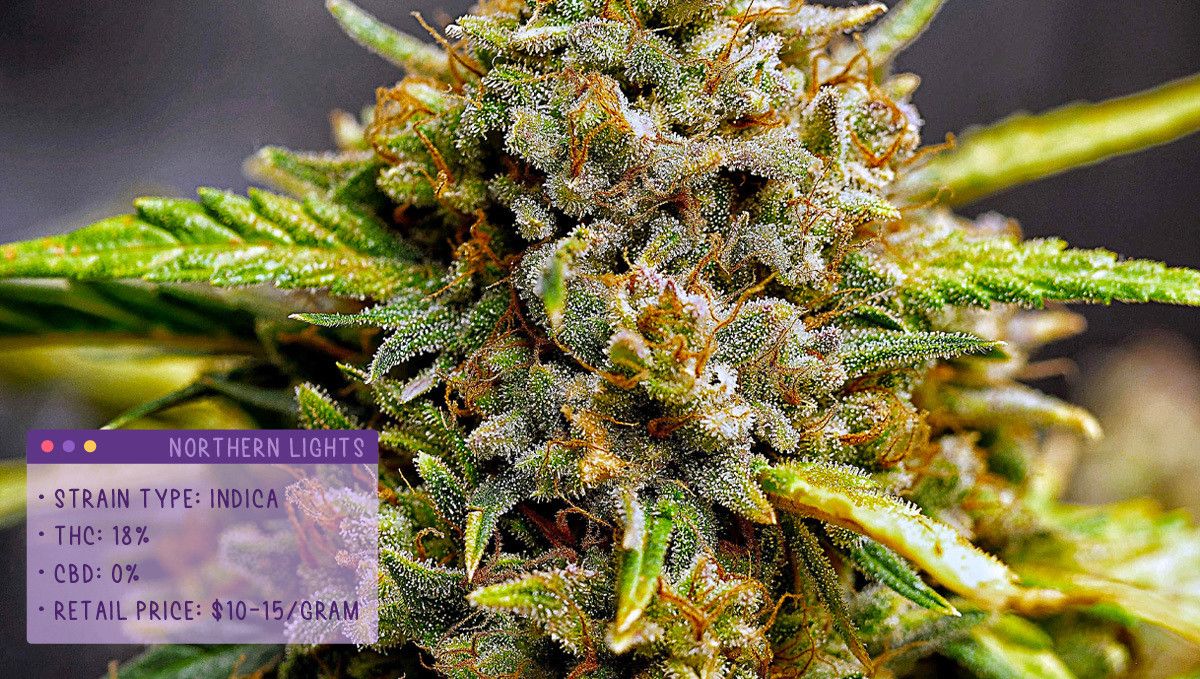 Best Weed Strains for Anxiety: Northern Lights