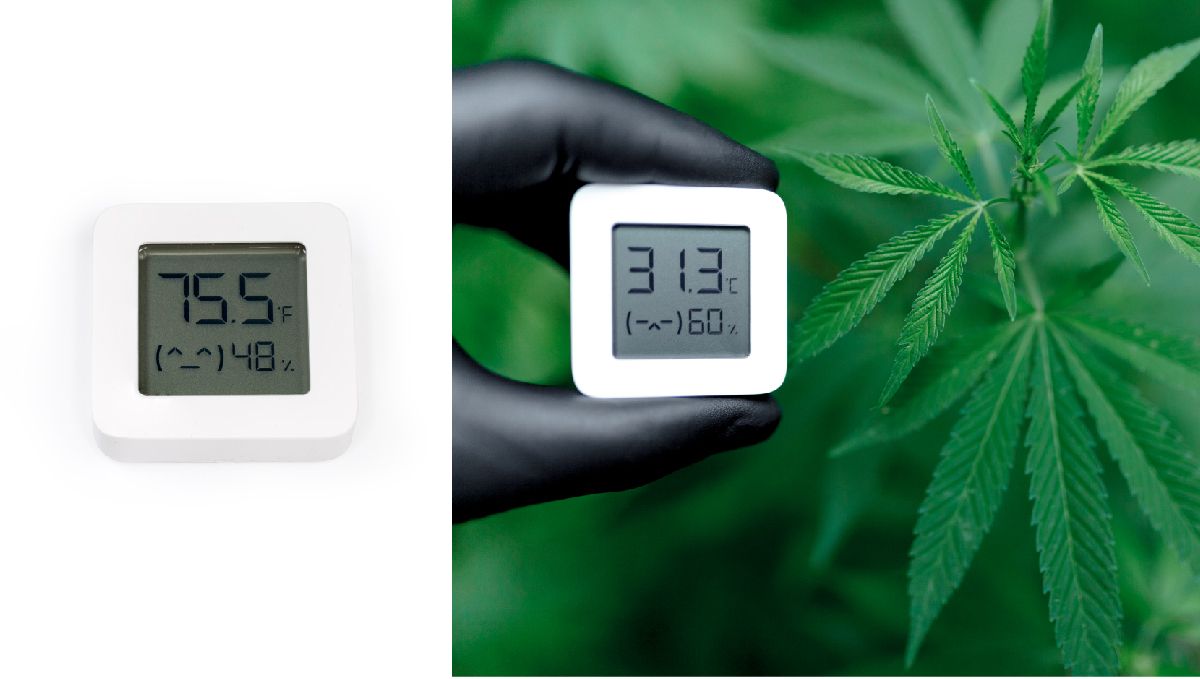 Top 8 growing gadgets: digital thermometer/hygrometer Top 8 growing gadgets: digital thermometer/hygrometer