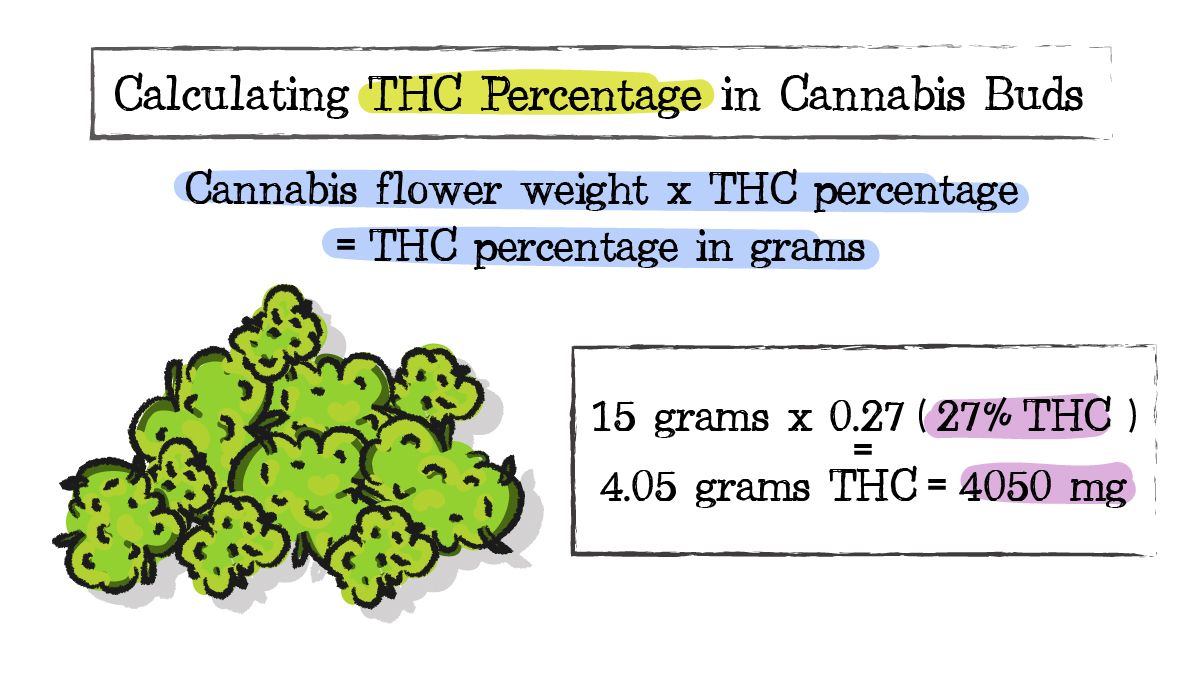 How to make cannabis sugar: calculating THC content