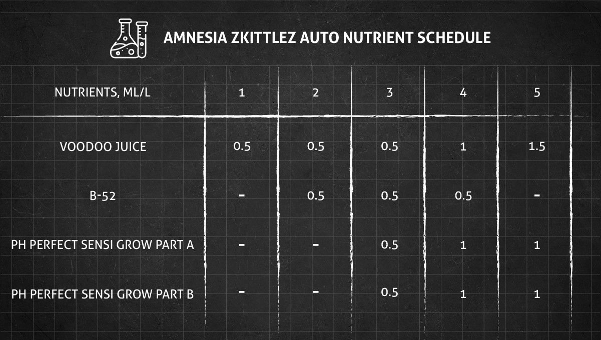 Amnesia Z Auto cannabis strain: veg feeding chart Amnesia Z Auto cannabis strain: veg feeding chart