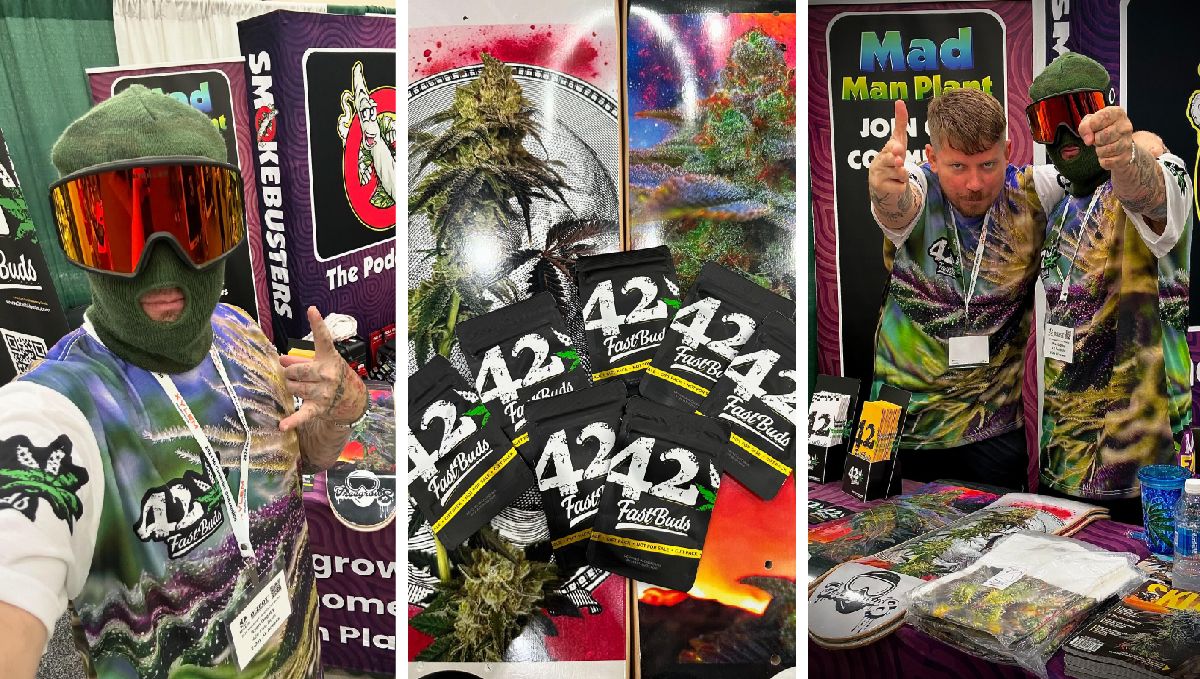 NeCannMichigan NeCannMichigan