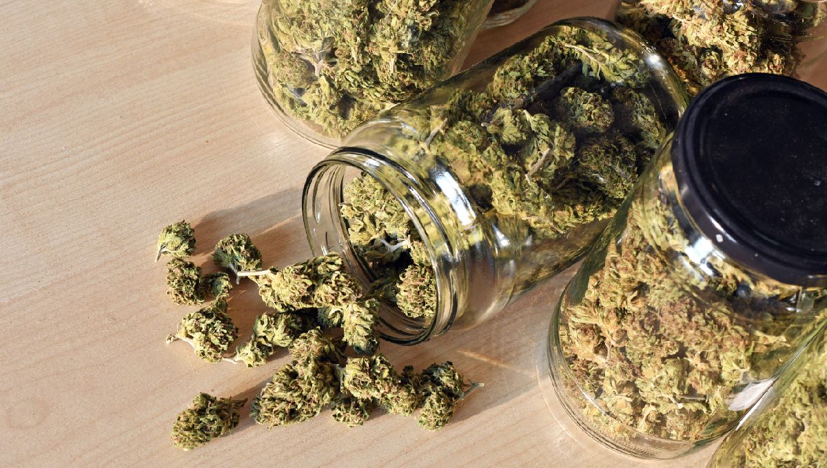 How to enhance your cannabis high? store weed properly! How to enhance your cannabis high? store weed properly!