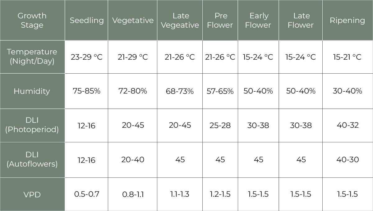 Features of growing cannabis in Thailand: Average weather conditions Features of growing cannabis in Thailand: Perfect conditions for cannabis