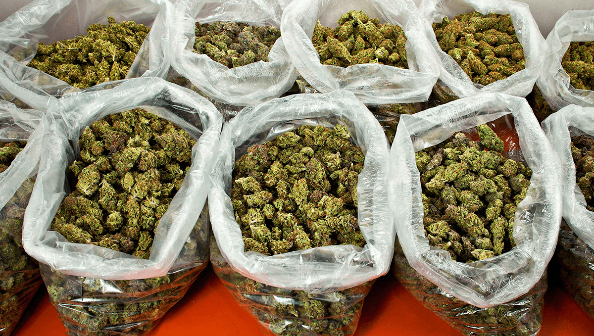 Weed in north korea: possession