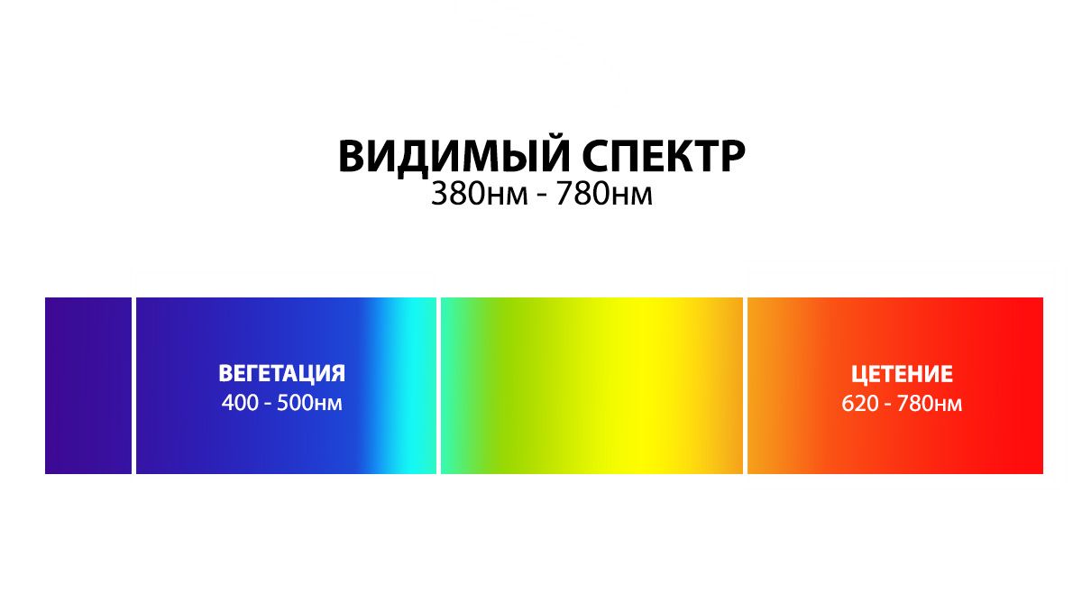 Best light spectrum for autos: visible spectrum