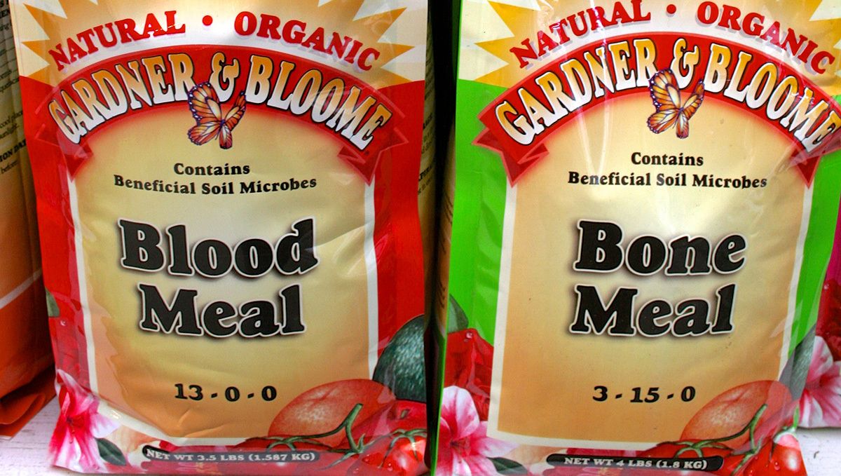Best Soil For Cannabis - What is Good Soil For Growing Weed?: Bone meal and blood meal