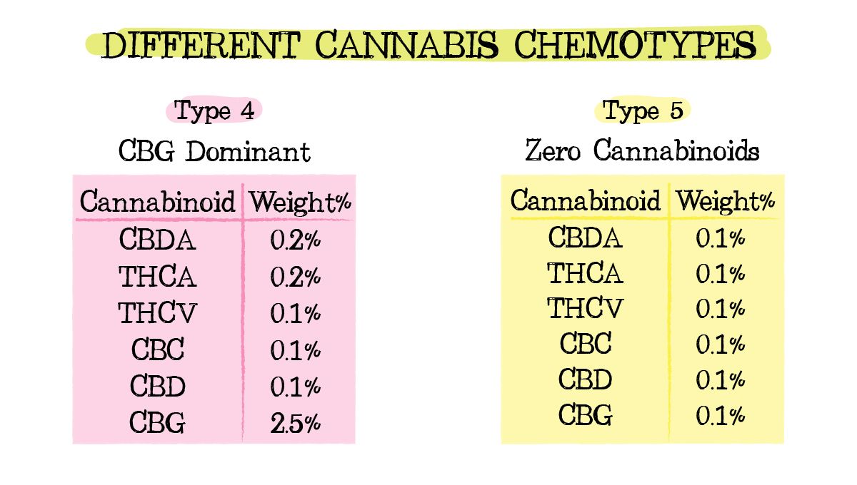 Cannabis chemtypes and chemovars: chemotypes 4 and 5