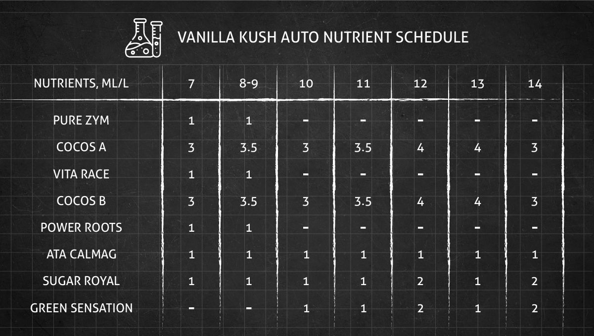 Vanilla Kush cannabis strain: feeding chart for the flowering stage Vanilla Kush cannabis strain: feeding chart for the flowering stage