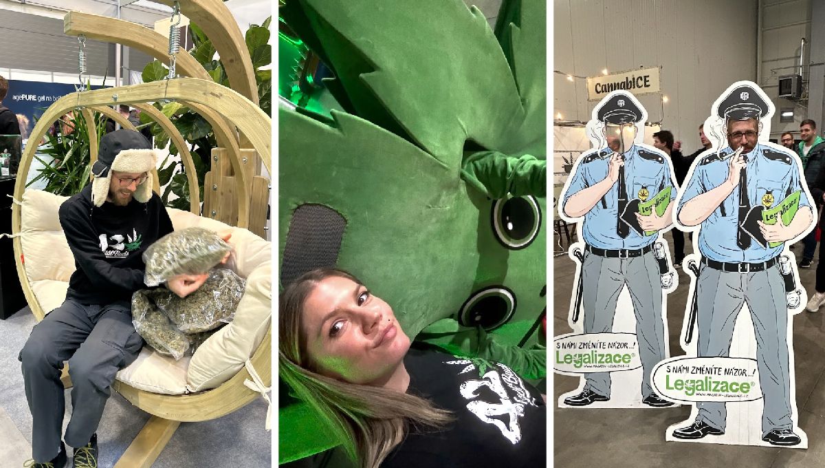 Cannafest Prague 2023