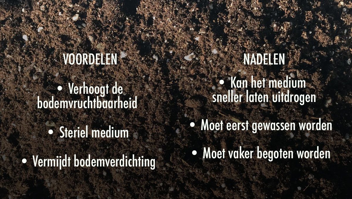 Welke grond is het beste voor zelfbloeiende cannabis?: Voor- en nadelen van het gebruik van perliet in je grond Welke grond is het beste voor zelfbloeiende cannabis?: Voor- en nadelen van het gebruik van perliet in je grond