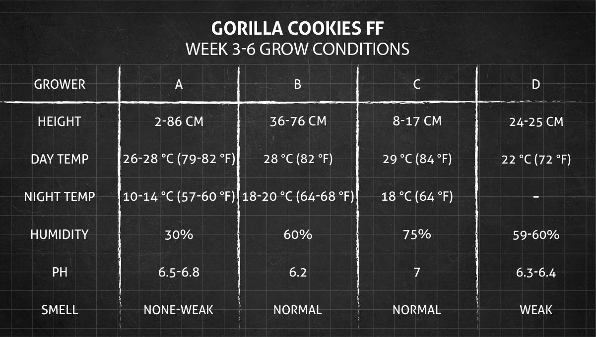 Gorilla Cookies FF cannabis strain: weeks 3-6 grow conditions Gorilla Cookies FF cannabis strain: weeks 3-6 grow conditions