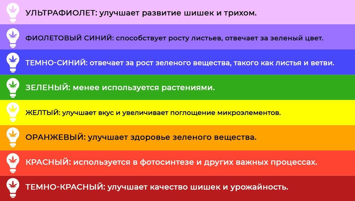 Best light spectrum for autos: light spectrum and plant growth