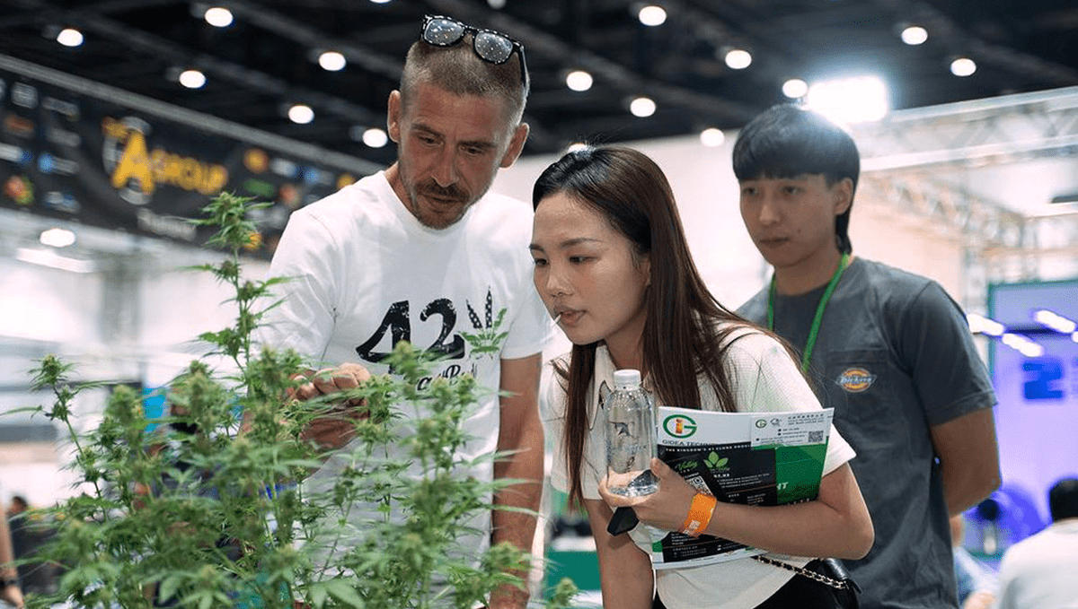 Asia International Hemp Expo: Ein einzigartiges Erlebnis