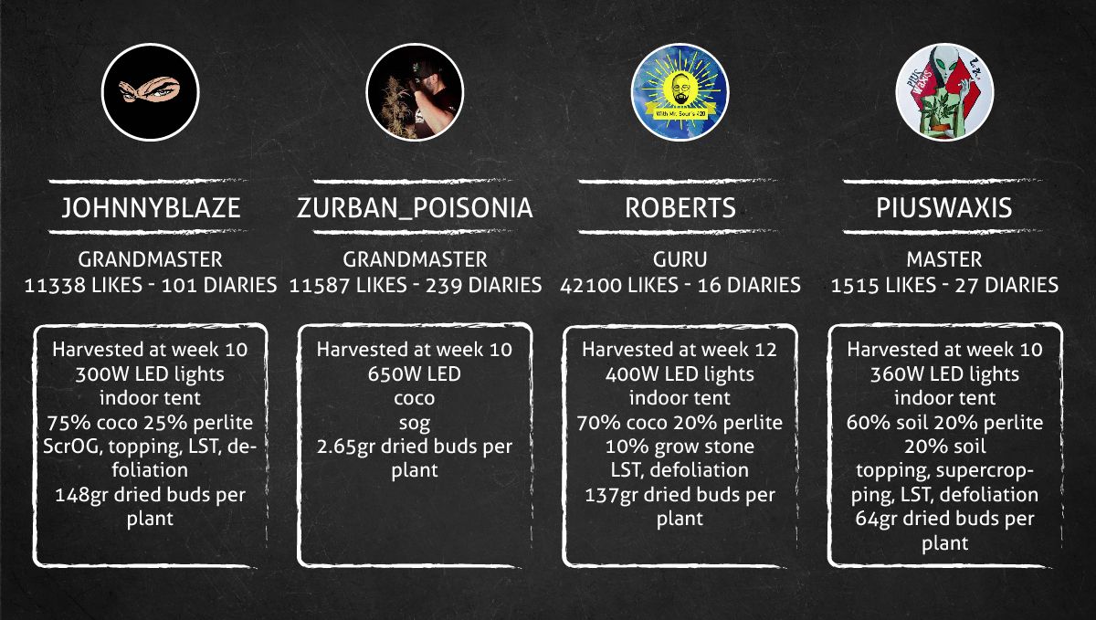 Tropicana Cookies Auto cannabis strain: outcome Tropicana Cookies Auto cannabis strain: outcome
