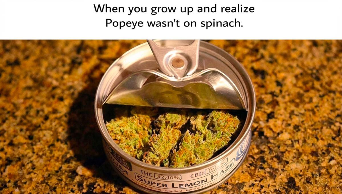A humorous meme showcasing the cleverness of cannabis growers.