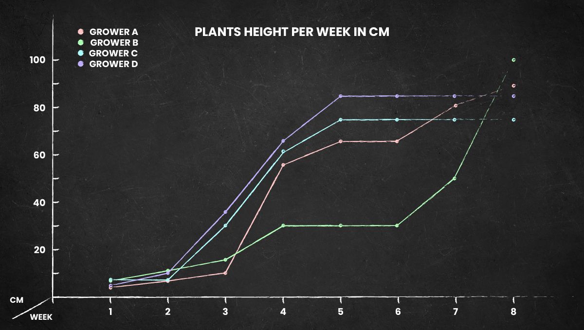 LSD-25 Auto cannabis strain height chart