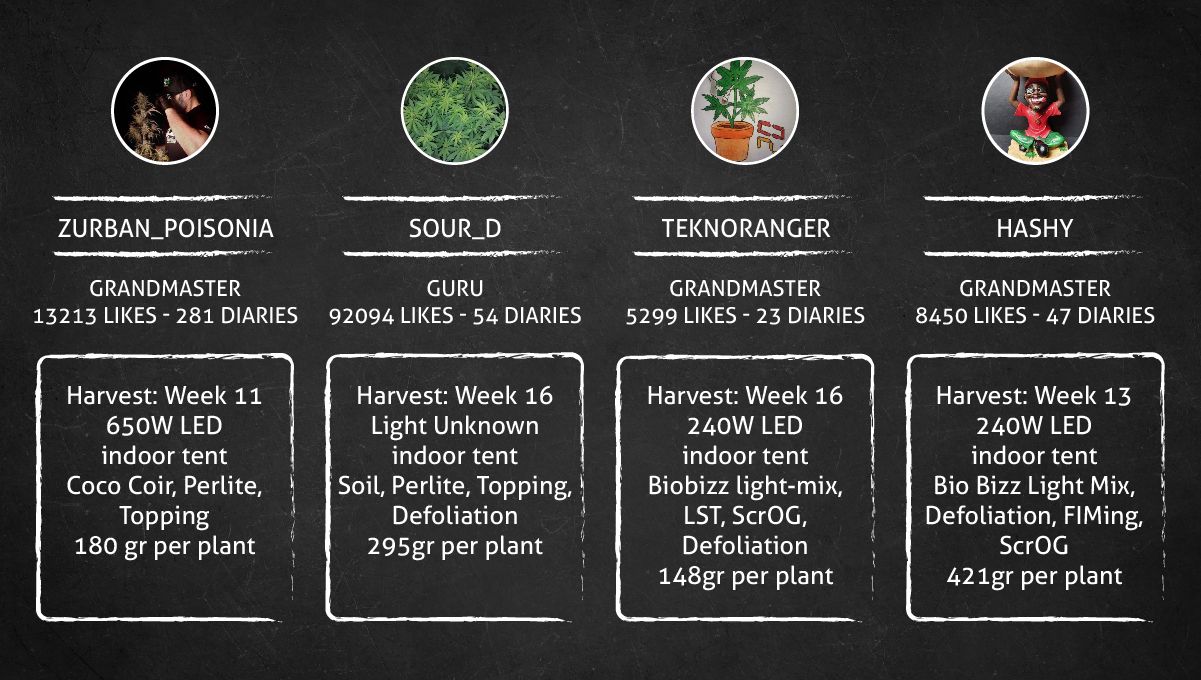 Tropicana Cookies FF cannabis strain: outcome