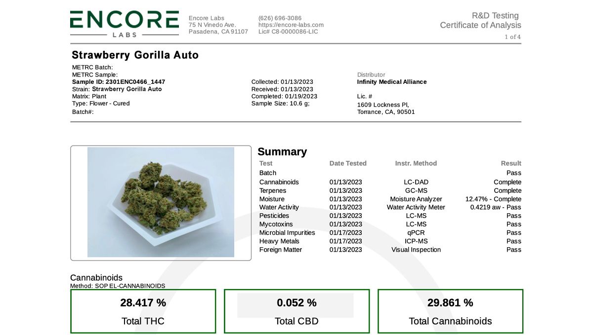 Fast Buds wins the AAC 2023! Fast Buds gana la AAC 2023!