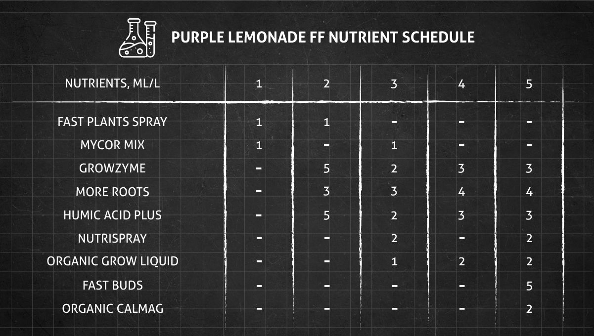 Purple Lemonade FF cannabis strain: veg nutrient schedule Purple Lemonade FF cannabis strain: veg nutrient schedule