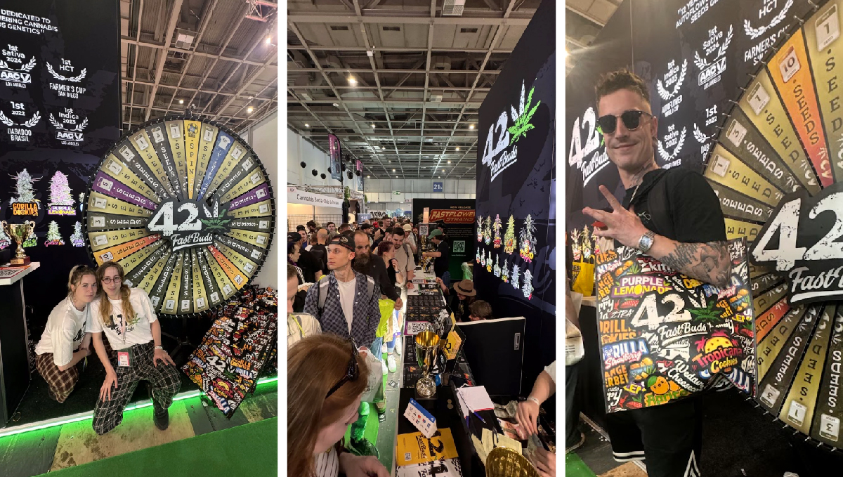 Mary Jane 2024: Die erste legale Cannabis-Expo in Europa