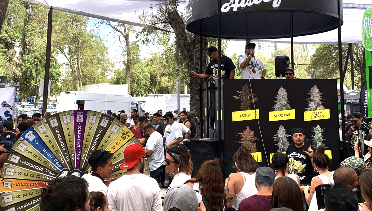 Fast Buds team in Latin America Fast Buds Team in Lateinamerica